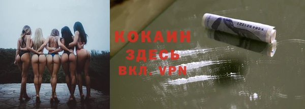 mdma Новозыбков