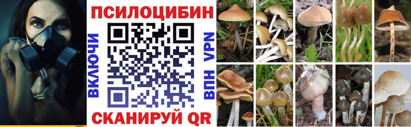 Псилоцибиновые грибы MAGIC MUSHROOMS  мега ссылка  Уфа 